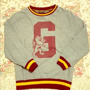 Kids Harry Potter Gryffindor sweatshirt.